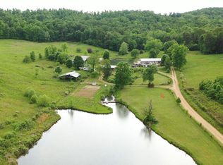 890 County Road 159, Vulcan, MO 63675