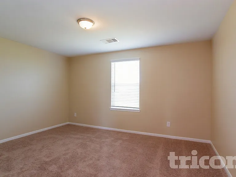 421 Palomino Stand Dr — Photo 19