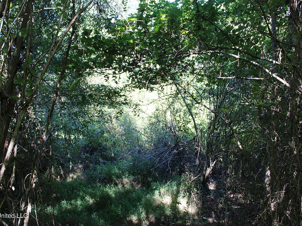 2nd image of 405 Strayhorn Lake Dr