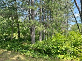 74302 Knotty Pine Rd, Bruno, MN 55712