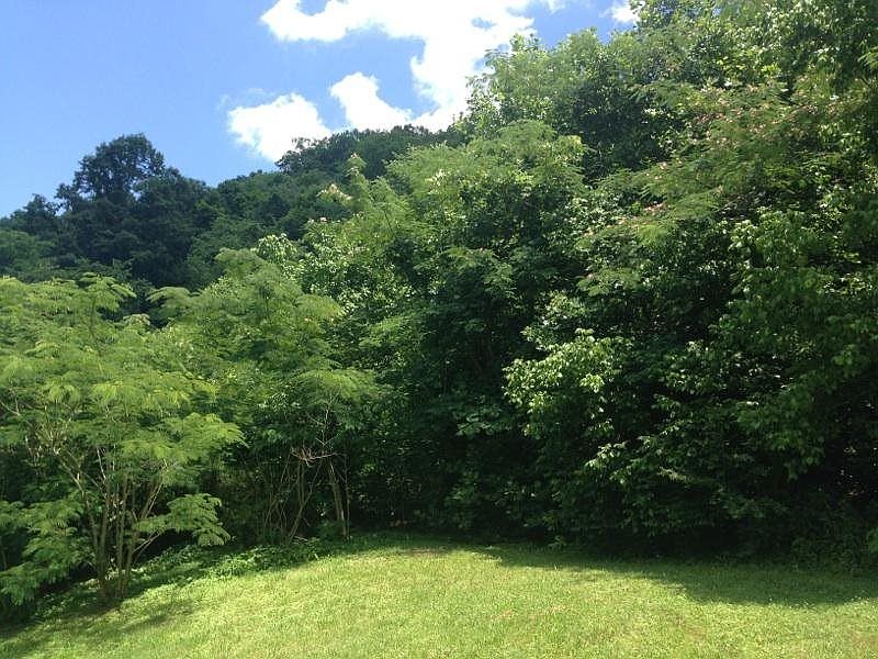 2nd image of 884 Blue Mill Rd