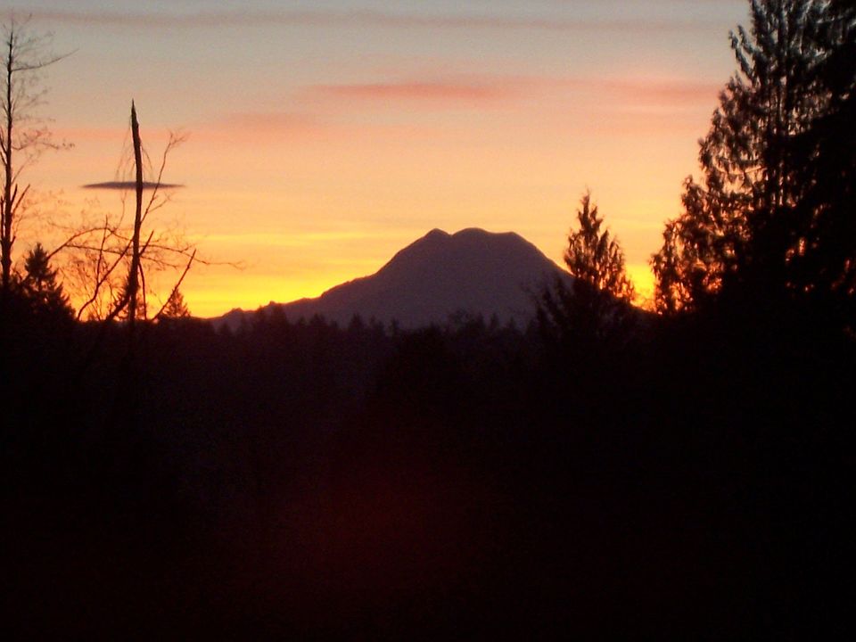 Ranier view