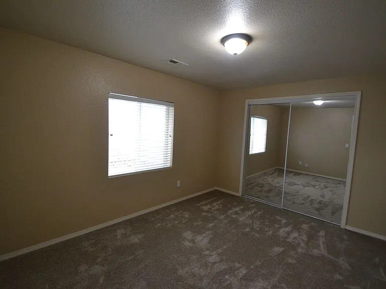 3885 Cherry Plum Dr — Photo 23