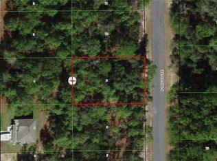 11048 N Trigger Ter, Citrus Springs, FL 34433