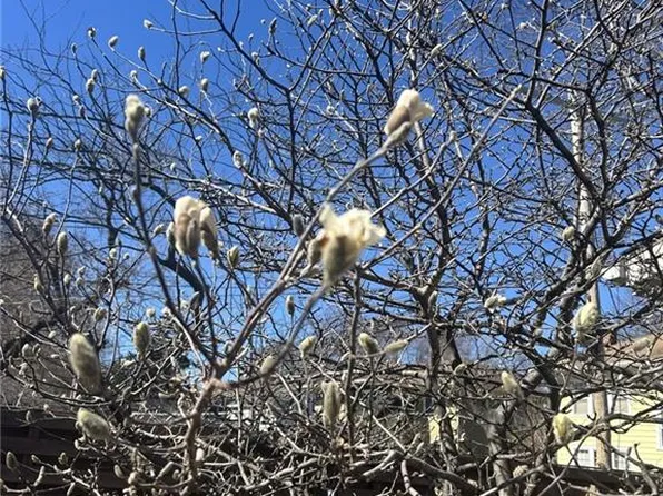 1309 Askew Ave, Kansas City, MO 64127