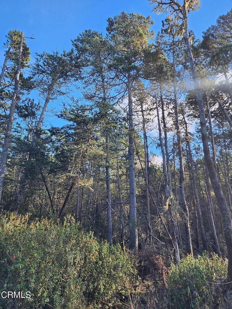 25380 Casparado Way, Caspar, CA 95420 MLS C110436 Zillow