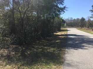 1032 E Cleveland St, Hernando, FL 34442