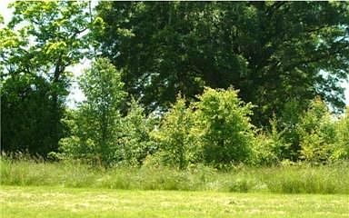 1st image of 5601 Louverture Ln
