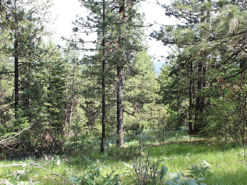 10A Hoodoo Mountain, Blanchard, ID 83804 MLS 20231499 Zillow