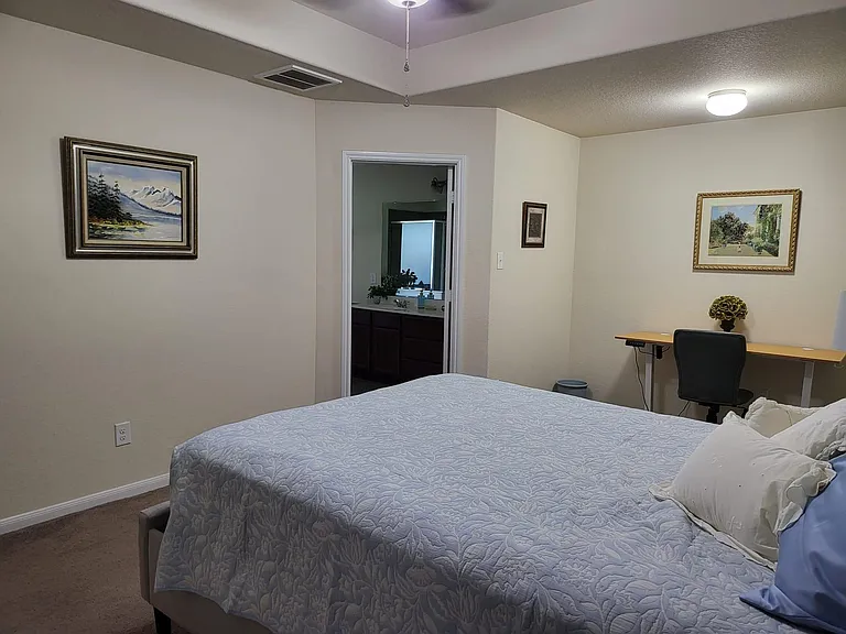 10739 Chestnut Path Way — Photo 12