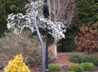 80 Hillcrest Cir #BASEMENT, Spruce Pine, NC 28777