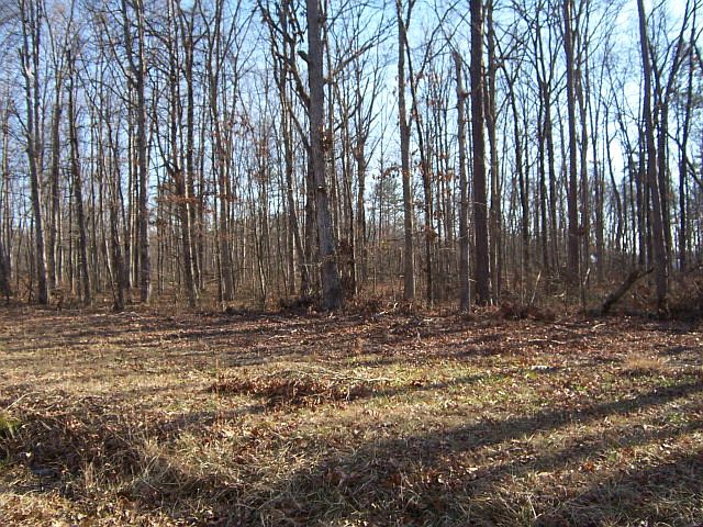 2nd image of 293 Hanging Limb Hwy