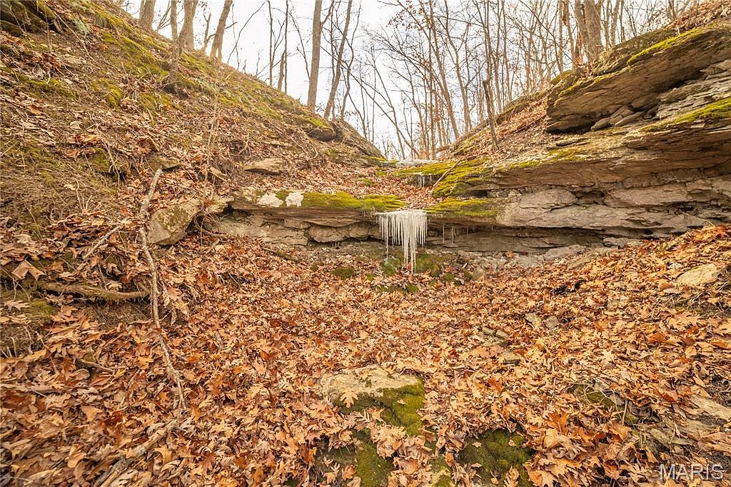 0 Collins Rd, Bellflower, MO 63333 | Zillow