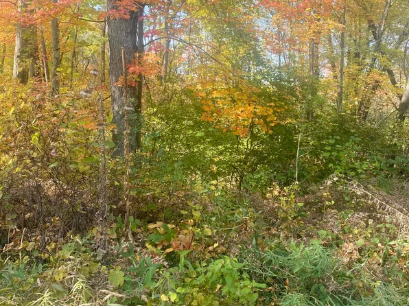 9035 N 23rd Ave, Bitely, MI 49309