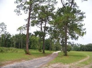 9138 S W 71st St, Hampton, FL 32044