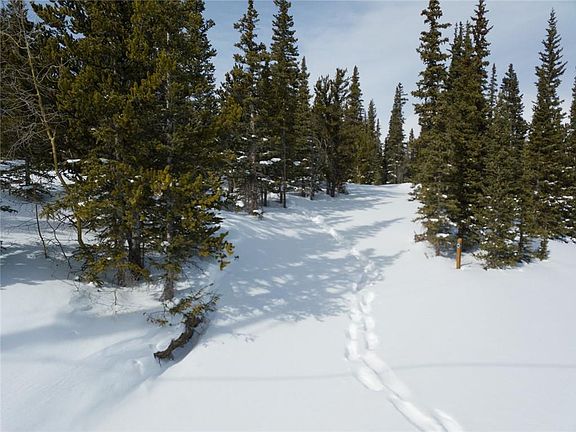3rd image of 433 Silverheels Pl