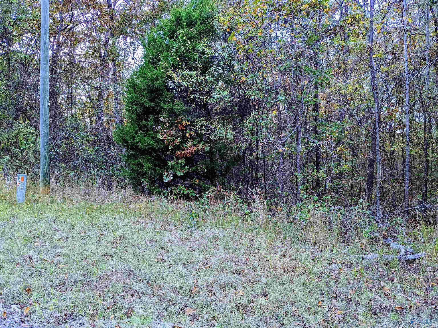 1.3 County Road 379, Trinity, AL 35673 MLS 1822390 Zillow