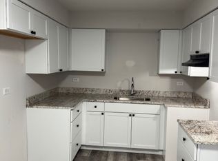 4329 West Park Lane Drive - 3C, Alsip, IL 60803