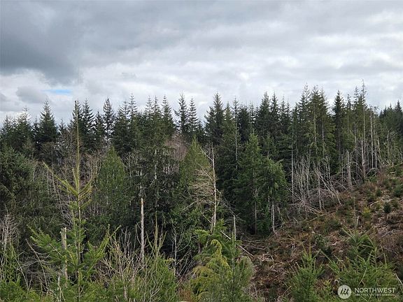 2nd image of 0 Off of Hoquiam Wishkah Road