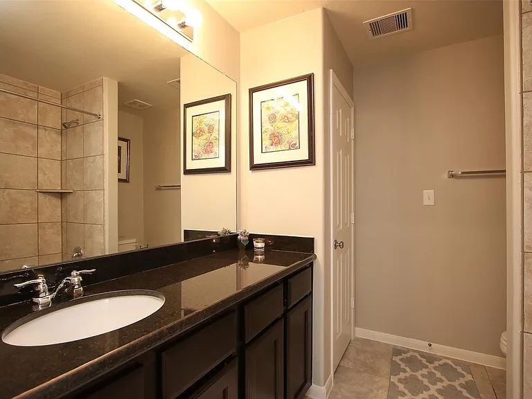 8517 Sunset Loch Dr — Photo 18