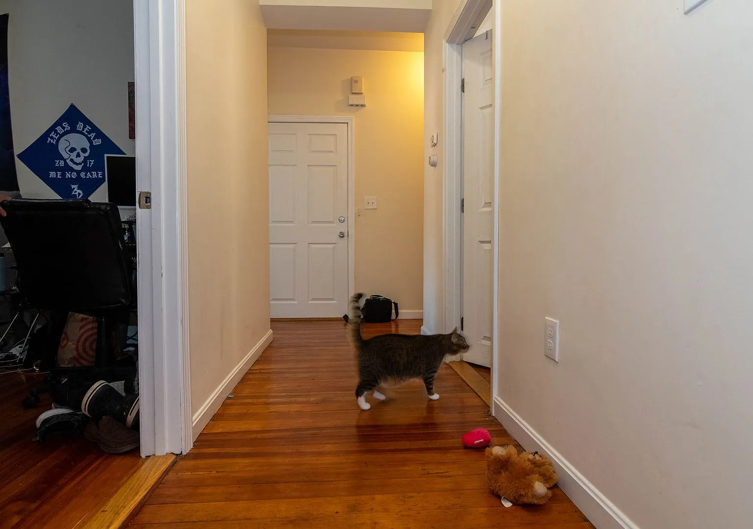 No Brokers Fee, Oak Sq Area, Laundry on a Site, Eat-in Kitchen, Big Bedrooms — Photo 3
