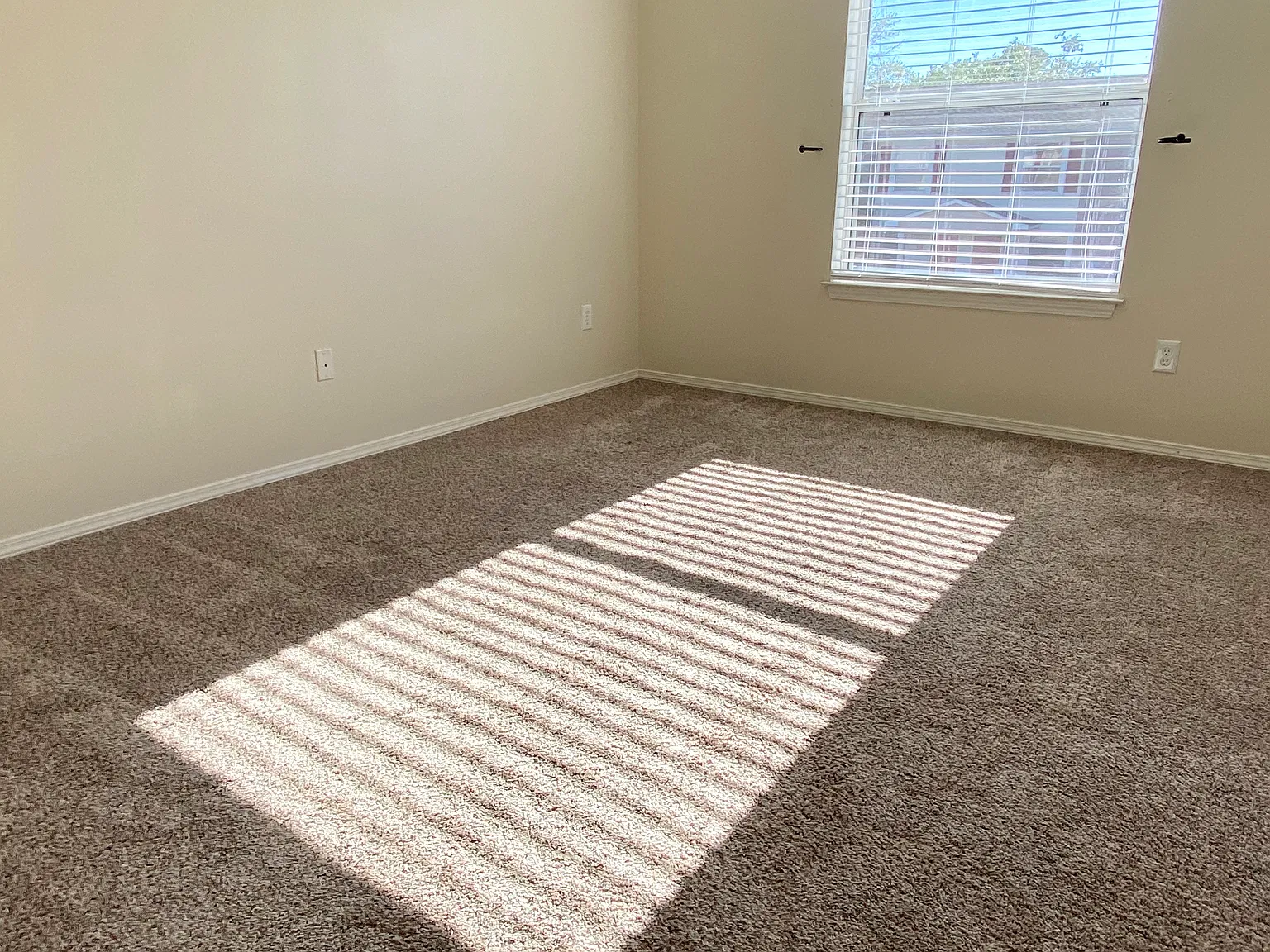 2 bed, 1.5 bath, 1000 sqft, $1,600 — Photo 4