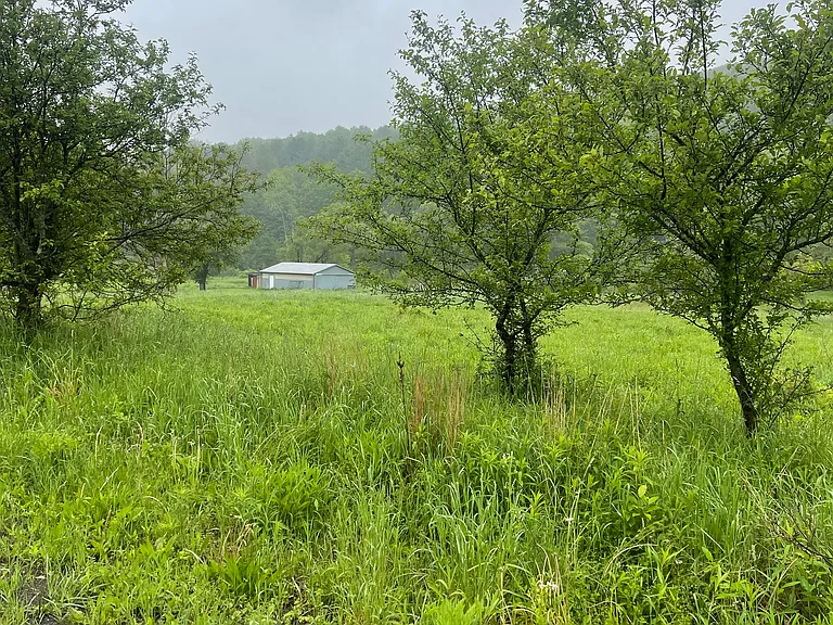 View from end of road stop sign