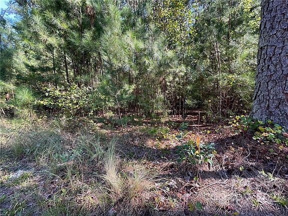 5th image of 6199 Plantation Pointe Dr #28