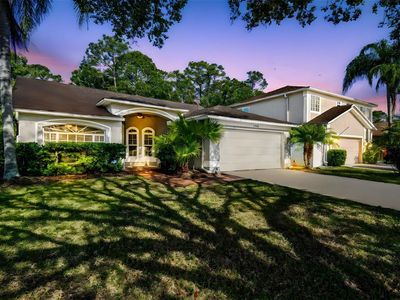 12929 Royal George Ave, Odessa, FL, 33556