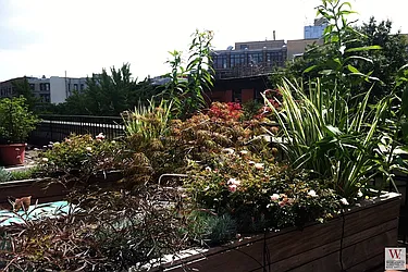 Sold by Wohlfarth & Associates Inc