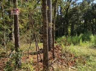 Rantoul Ct, Huntsville, TX 77320