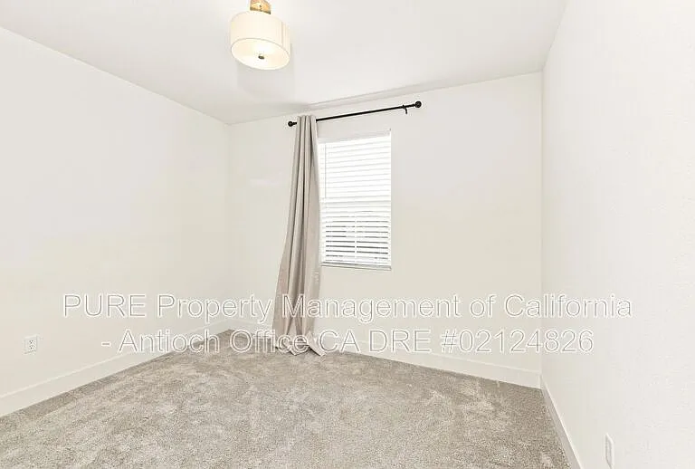 233 Cold Creek Dr — Photo 8