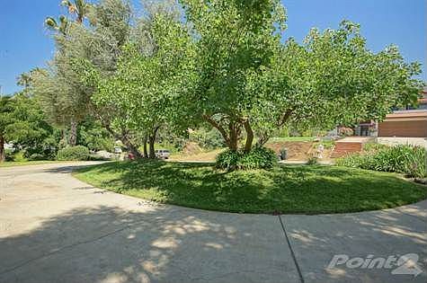 Circular Driveway