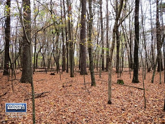 10.17 Private Wooded Acres!