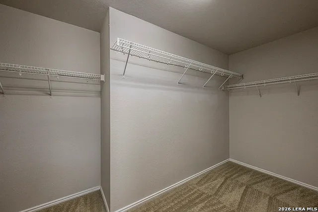 6729 Biscay Bay — Photo 12