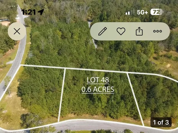 48 Brushy Pointe Trce, Houston, AL 35572