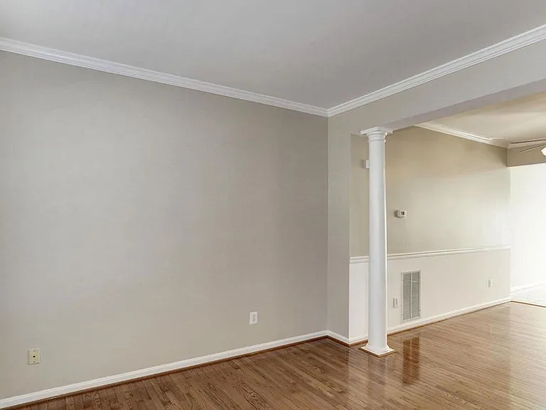 3848 Dominion Mill Dr — Photo 4