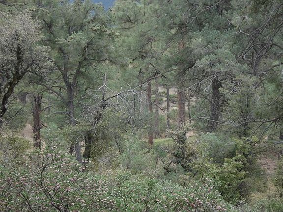 4th image of 2303 E Yerba Serita #87