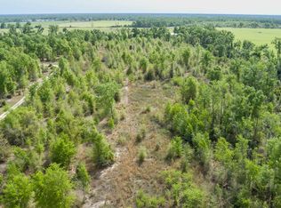 0 SW Graceland Rd, Mayo, FL 32066
