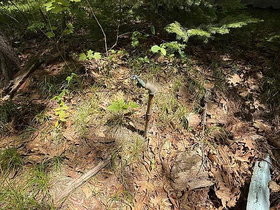 5th image of 981 E Cranberry Lake Rd