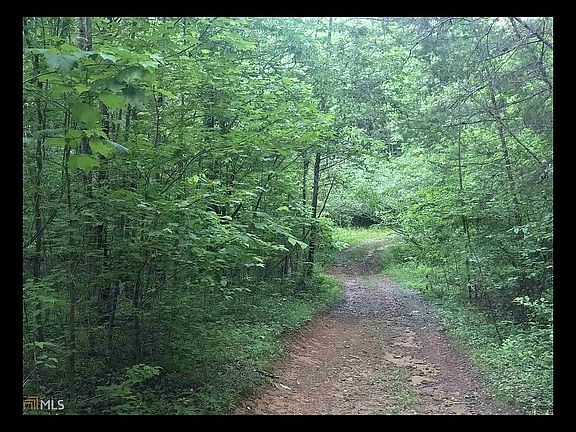 Road to community lot 