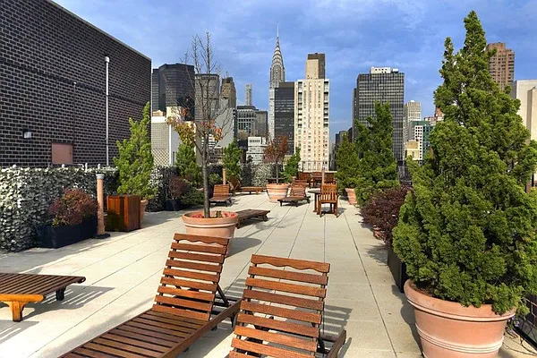 Rented by Manhattan Skyline | media 7