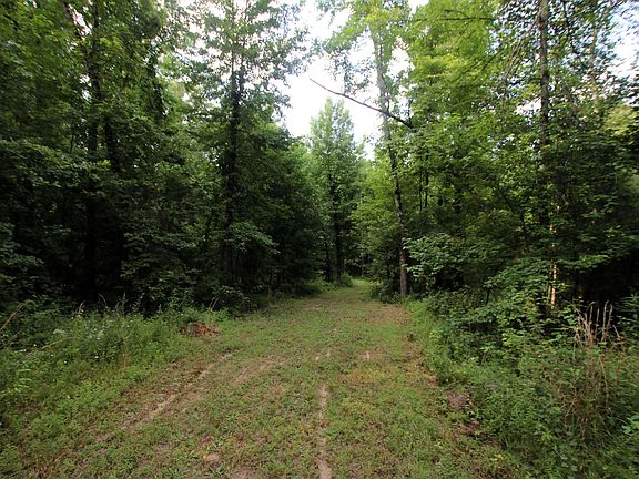 3rd image of 164 Reservoir Rd