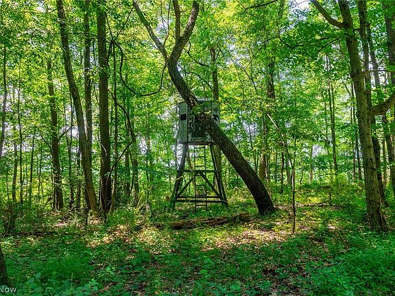 5th image of 31800 Chestnut Ridge Rd #1