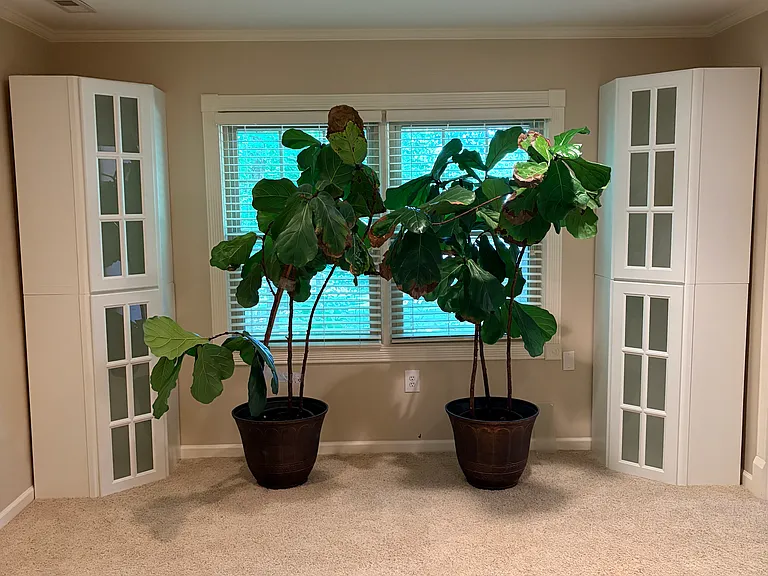 5027 Castlewood Dr — Photo 11