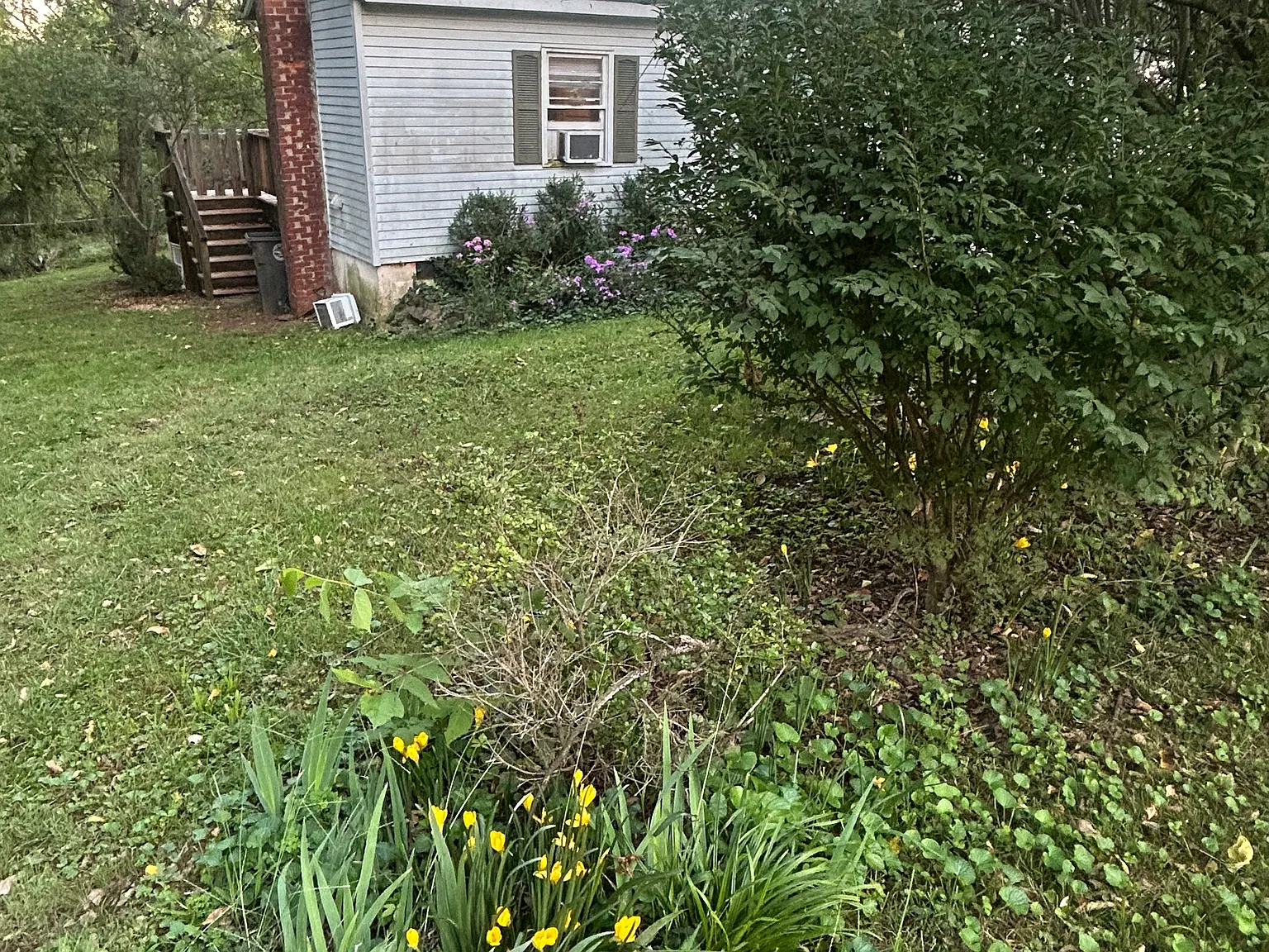 19169 Annadale Farm Dr — Photo 4