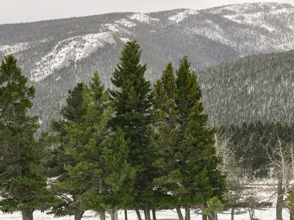 Nhn Vacant Land, Stanford, MT 59479