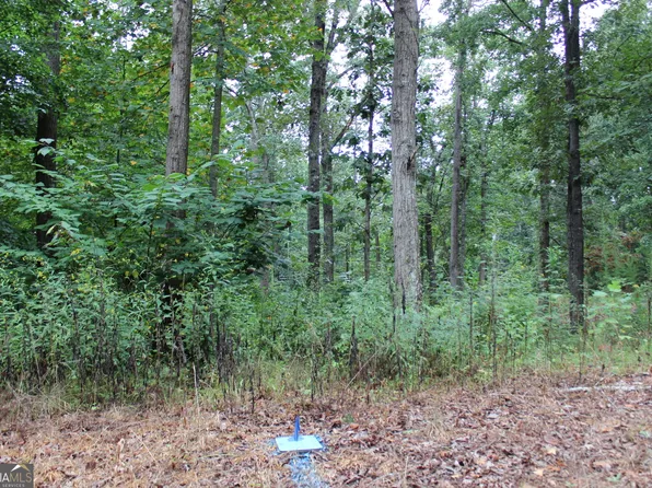 76 Saint Michael Dr, Lavonia, GA 30553