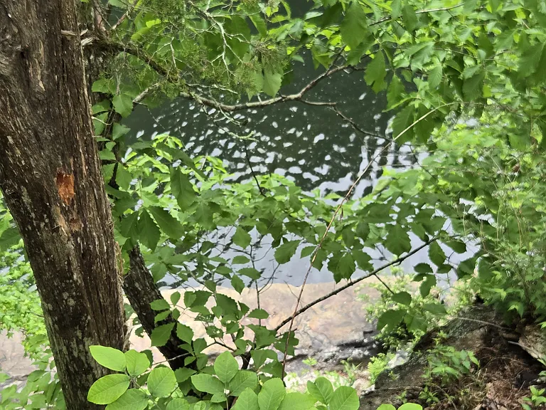 329 Pride Landing Rd — Photo 1
