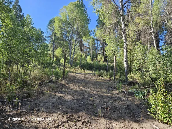 LOT 2 Royal Coachman Dr, Chiloquin, OR 97624